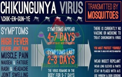 Chikungunya Virus Mosquito Name, Symptoms, Infection, Causes, Treatment, Rash